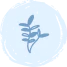 A simple blue line drawing of a small branch with four oval leaves, centered on a light blue circular background.